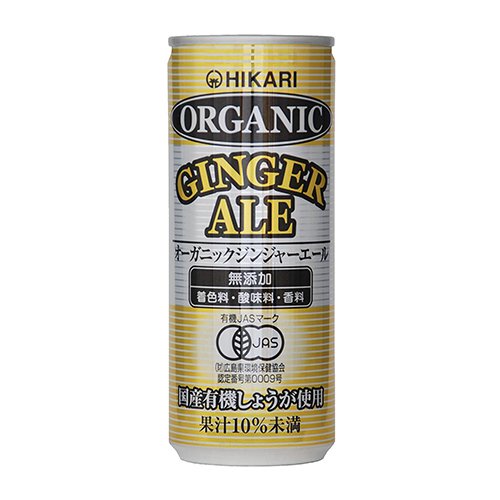 Organic Ginger Ale 250ml 