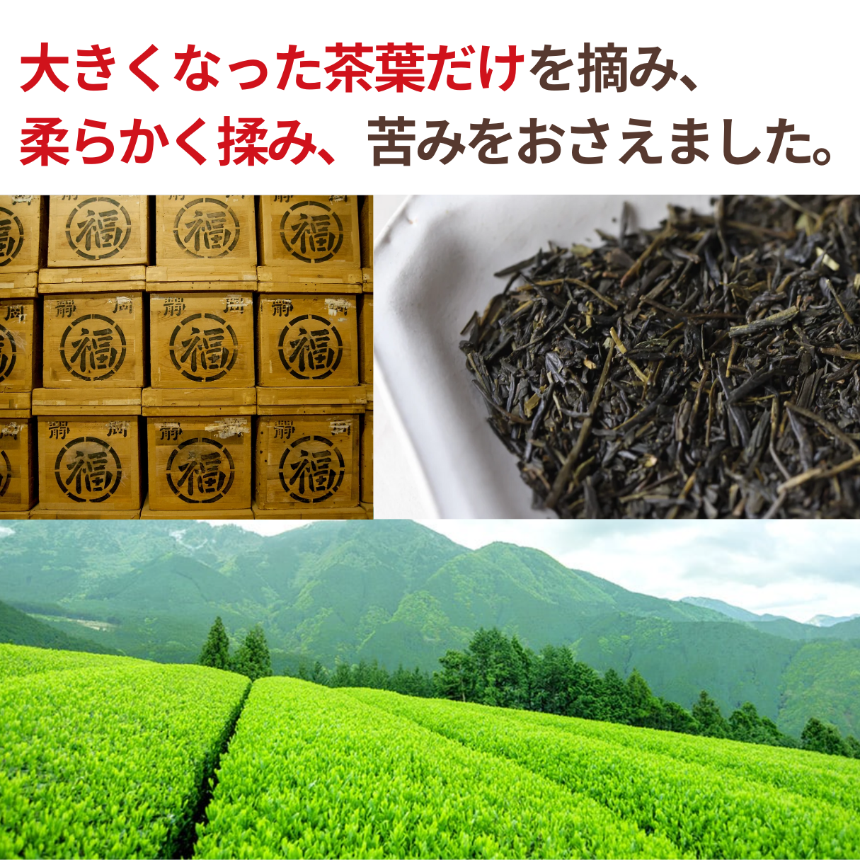 NH国産有機番茶