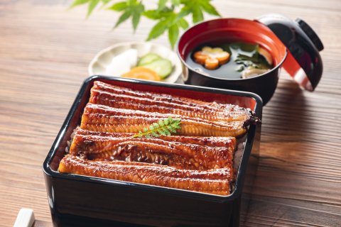 [Frozen] Domestic grilled eel set (87001) 