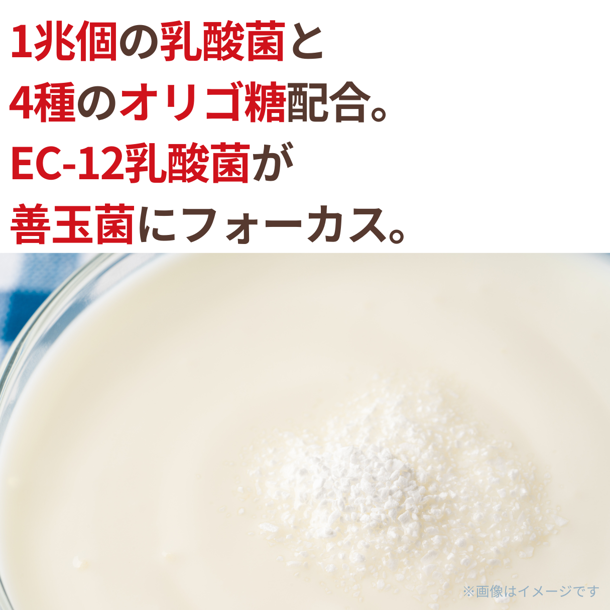 4種で兆乳酸菌プラスビフィズス菌