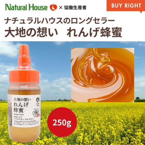 ロングセラー　れんげ蜂蜜250g