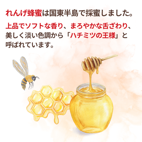 ロングセラー　れんげ蜂蜜250g