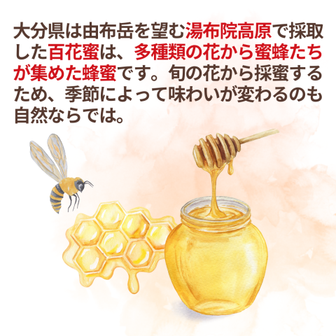 ロングセラー　百花蜂蜜250g