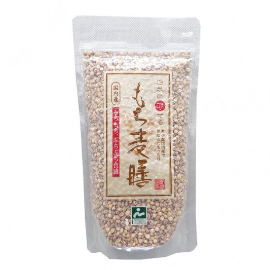 Mochi barley meal 