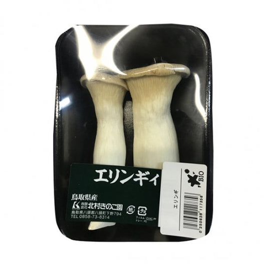 [Refrigerated] King oyster mushroom 