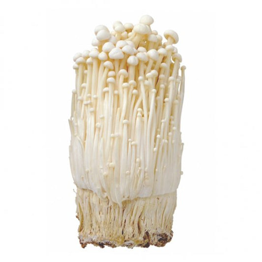 [Refrigerated] Enoki mushroom 