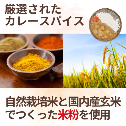 大地の想い 米粉カレールゥ(マイルド)