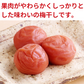 Organic Nanko umeboshi plums from Nasu 