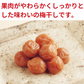 Nasu's Organic Small Pickled Ume