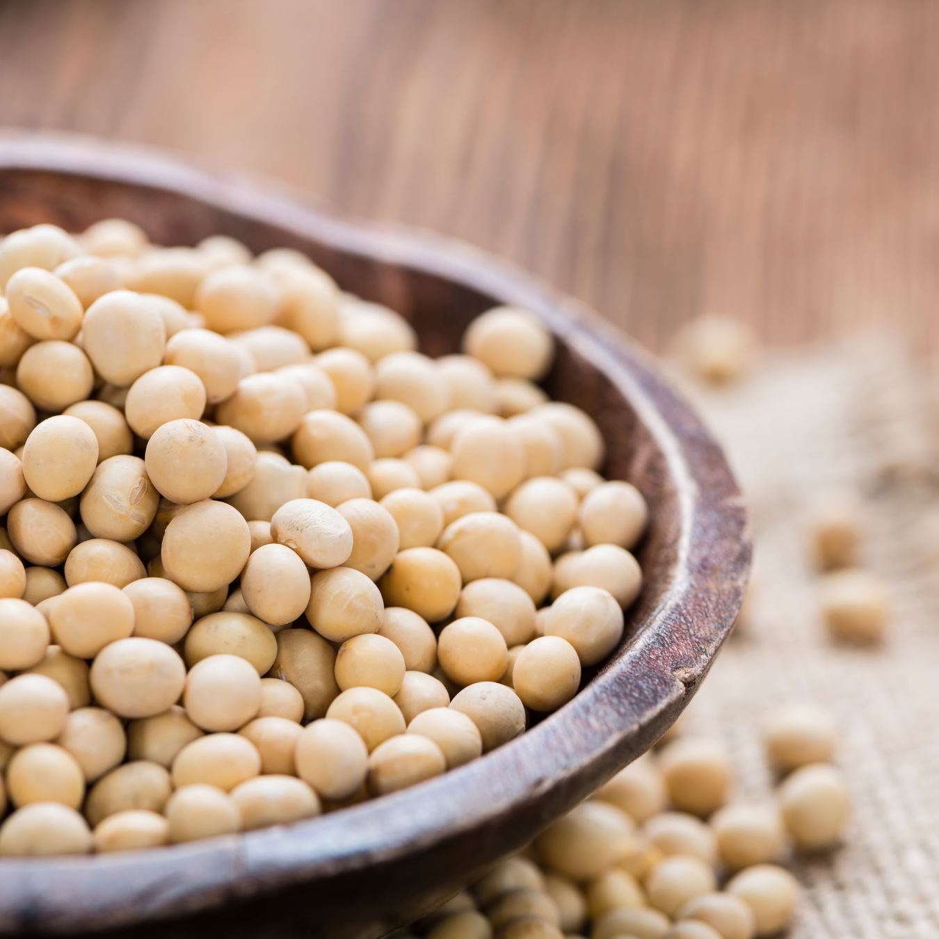 200g organic white soybeans 