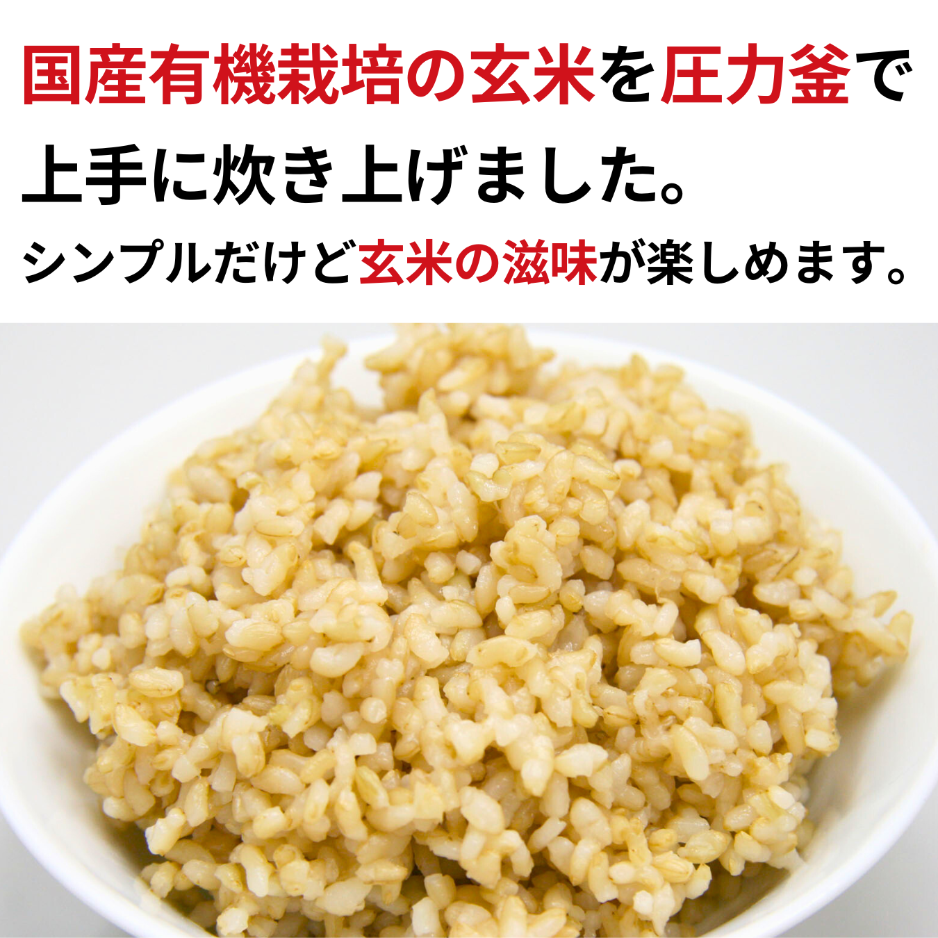 CaseBuy NH国産有機玄米ごはん20個セット