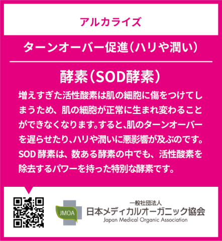 【定期便】有機大麦わかば青汁２個