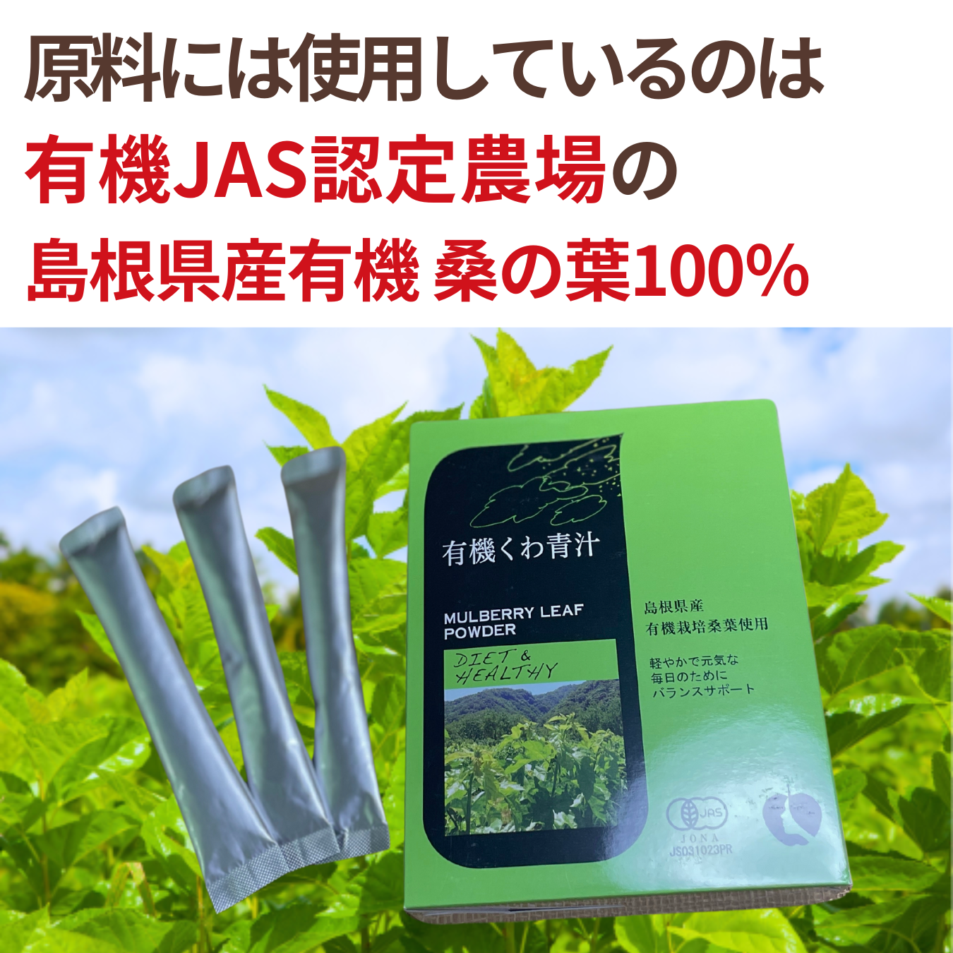 【定期便】有機くわ青汁+有機大麦わかば各1個