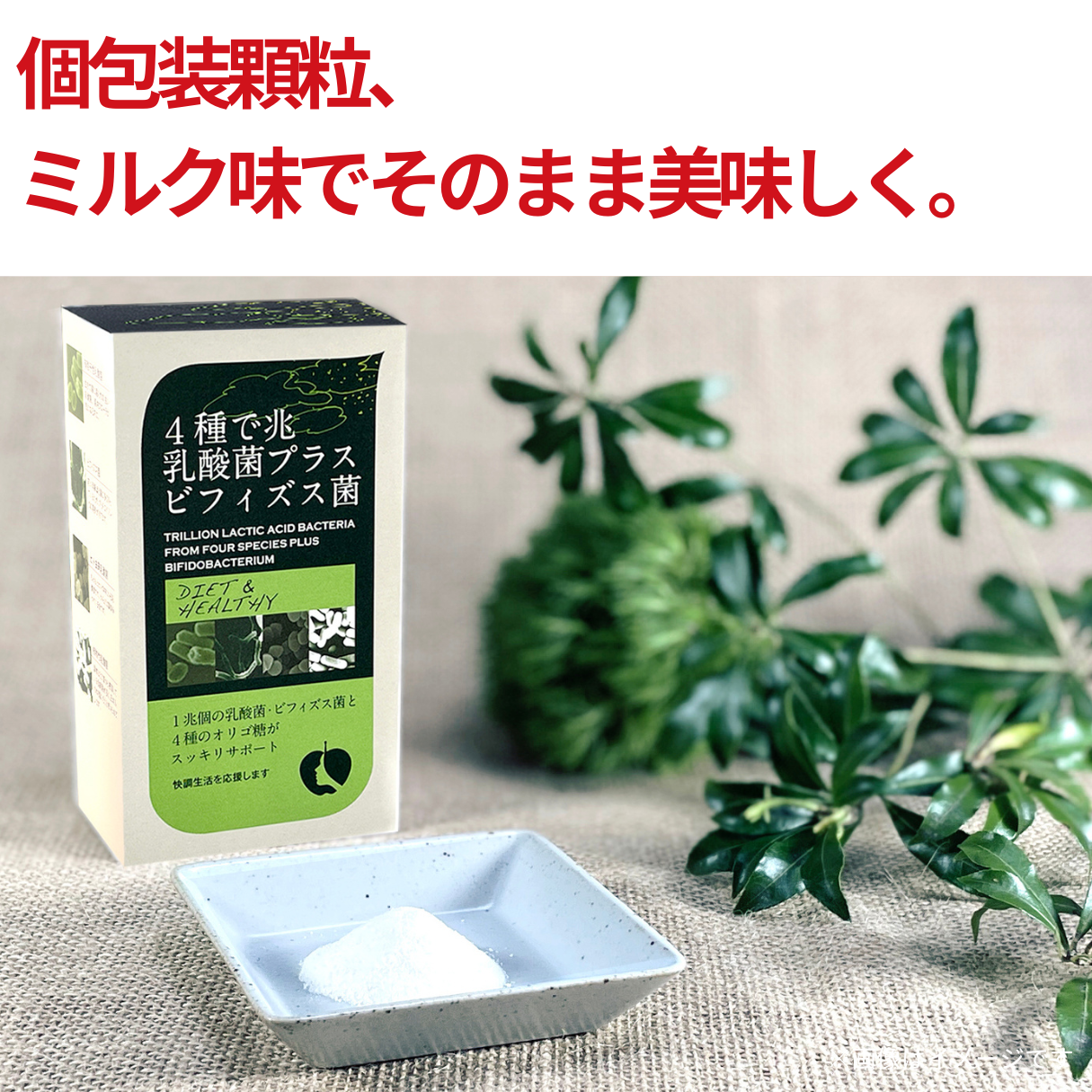 【定期便】4種で兆乳酸菌プラスビフィズス菌２個