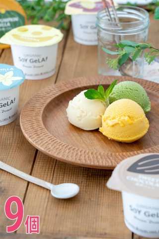 [Frozen] Organic soy milk gelato 9 pieces/SOY GeLA! (93025) 