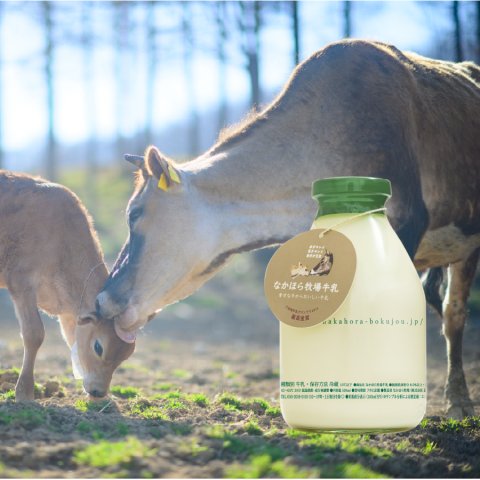 [Refrigerated] Nakahora Farm Grass-Fed Milk 500ml (Available only on Saturdays) 